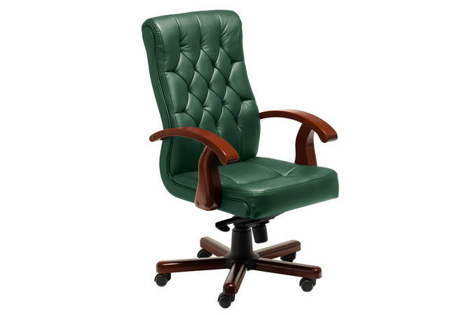 Кресло для руководителя с низкой спинкой Darwin B (green)