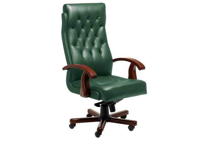 Кресло для руководителя с высокой спинкой Darwin A (green)